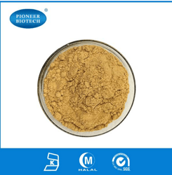 裂壺藻粉/裂壺殖藻粉/DHA粉