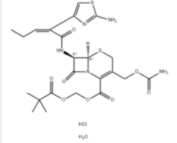头孢卡品酯颗粒 Cefcapene Pivoxil Granules