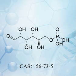 D-葡萄糖-6-磷酸   CAS：56-73-5
