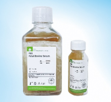 Fetal Bovine Serum