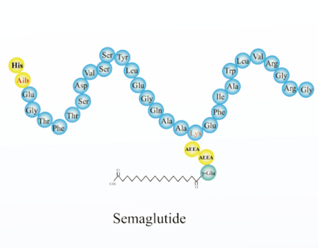 司美格鲁肽 / Semaglutide