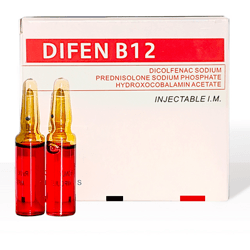Vitamin B12: Essential for Energy and Nerve Health