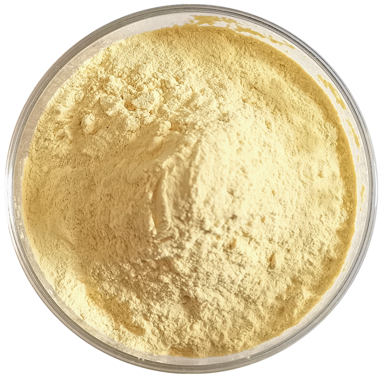 裸藻粉 Euglena powder