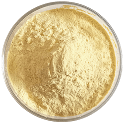 裸藻粉 Euglena powder
