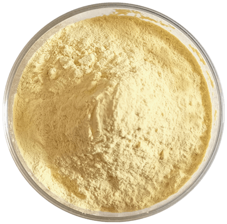 裸藻粉 Euglena powder