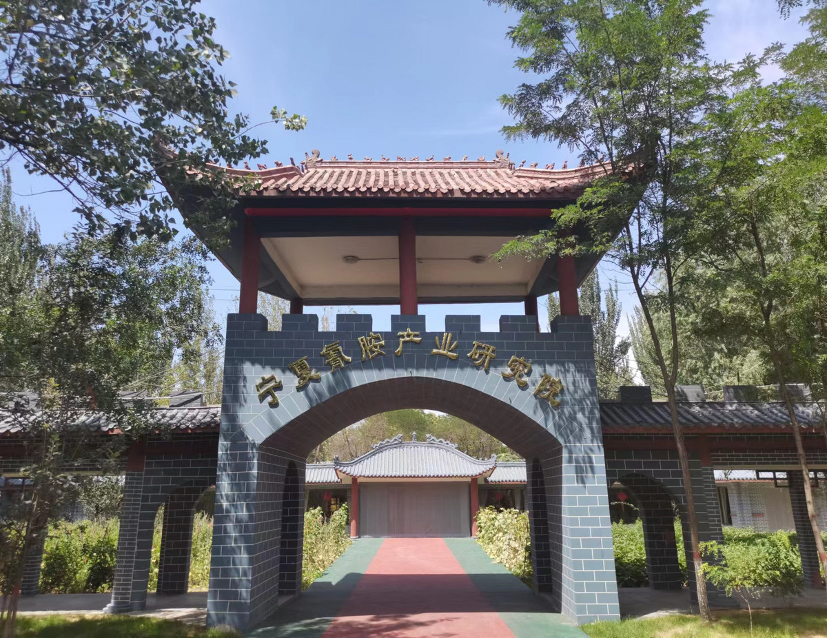 寧夏太康藥業(yè)有限公司