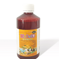 Calcium + 9 Vitamins Syrup