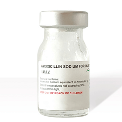 Amoxicillin Injection