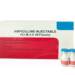 Ampicillin: Broad-Spectrum Antibiotic for Effective Infection Control