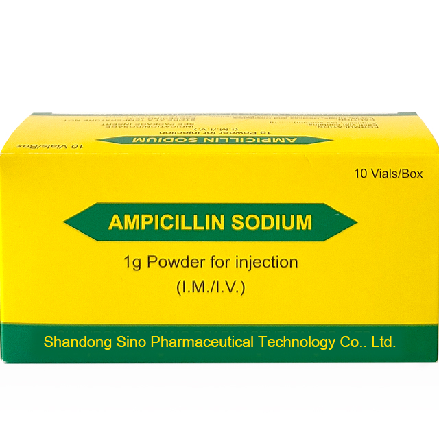 Ampicillin : Safe and Effective Antibiotic Therapy
