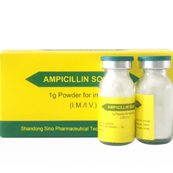Ampicillin : Safe and Effective Antibiotic Therapy