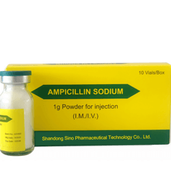 Ampicillin : Safe and Effective Antibiotic Therapy