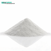 青霉素钠 Benzylpenicillin sodium