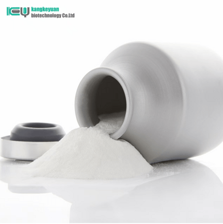 头孢噻夫钠 Ceftiofur Sodium