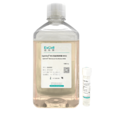 MSC Serum-free Medium MH01