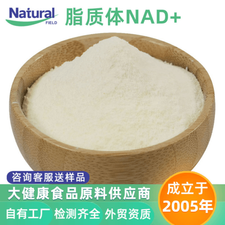 脂质体烟酰胺腺嘌呤二核苷酸脂质体NAD+
