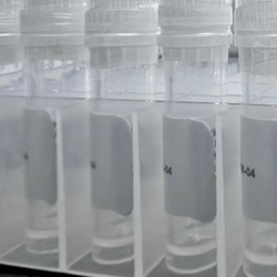 Copper Tripeptide-1/三肽-1 铜