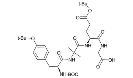 Tirzepatide Fragments