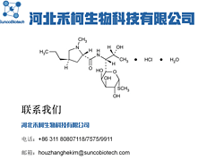 鹽酸林可霉素