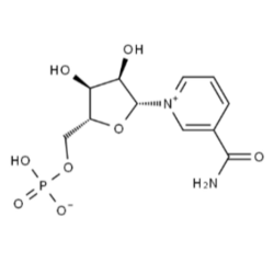 β-煙酰胺單核苷酸