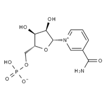 β-烟酰胺单核苷酸
