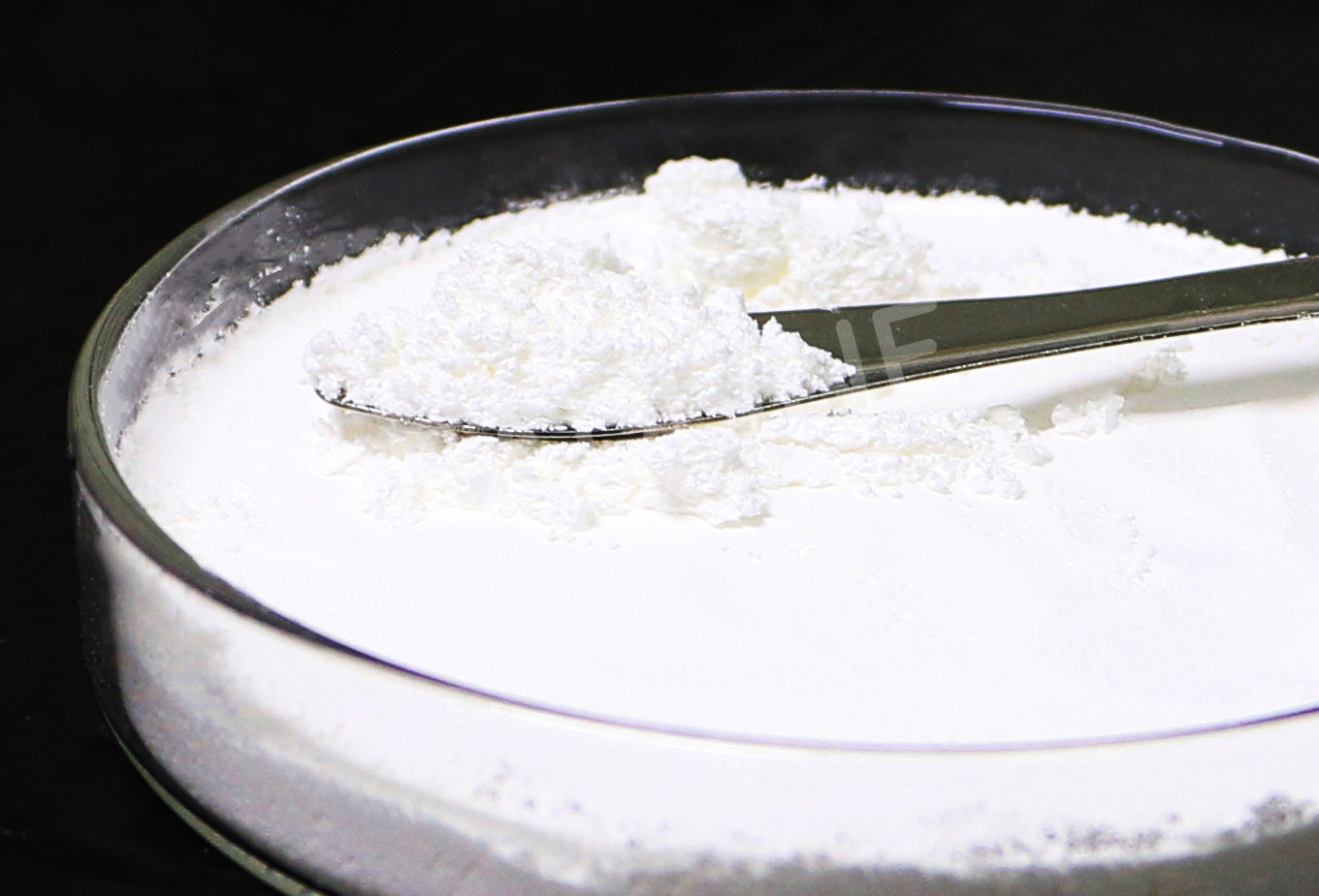 Semaglutide（司美格魯肽）
