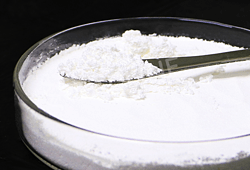 Semaglutide（司美格鲁肽）