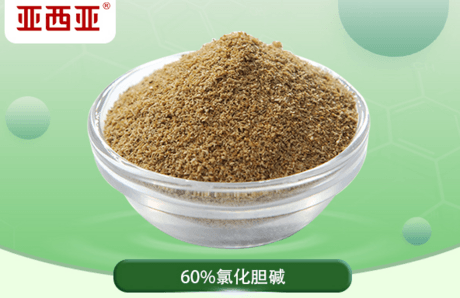 50%/60%氯化胆碱