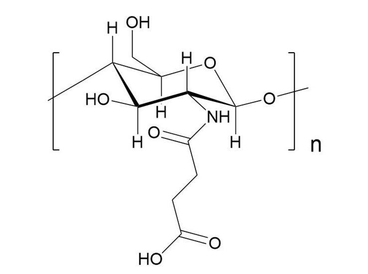 脫乙酰殼多糖單琥珀酰胺