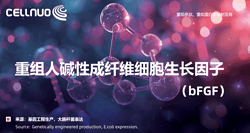 堿性成纖維細(xì)胞生長因子