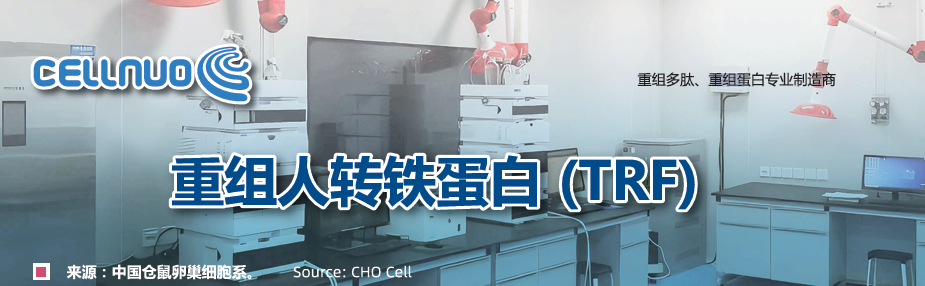 轉(zhuǎn)鐵蛋白