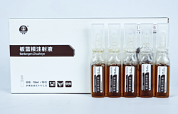 板藍(lán)根注射液