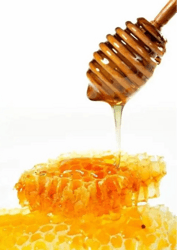蜂蜜 Pure Honey