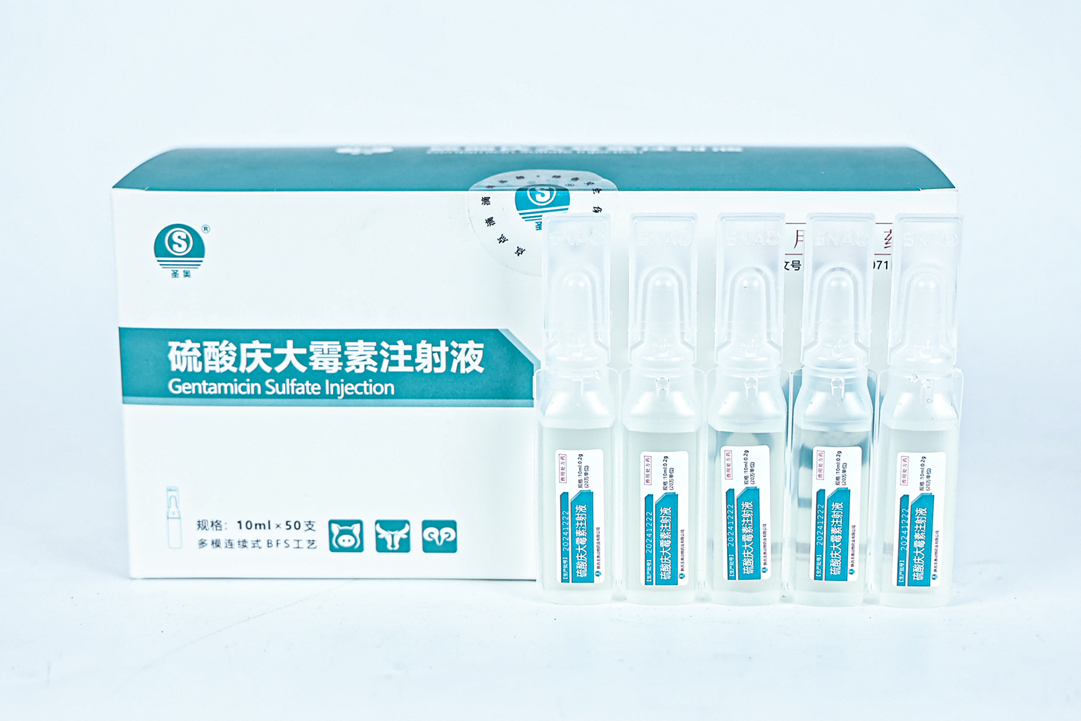 BFS-硫酸慶大霉素注射液