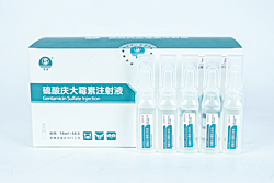 BFS-硫酸慶大霉素注射液