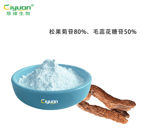 肉苁蓉提取物 松果菊苷70%，毛蕊花糖苷50%