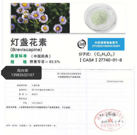 黄连提取物
