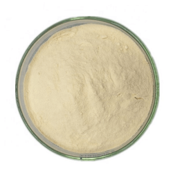 凝结芽孢杆菌 Bacillus coagulans