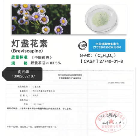 灯盏花乙素