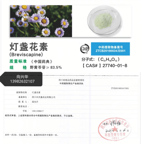 元胡提取物、延胡索提取物