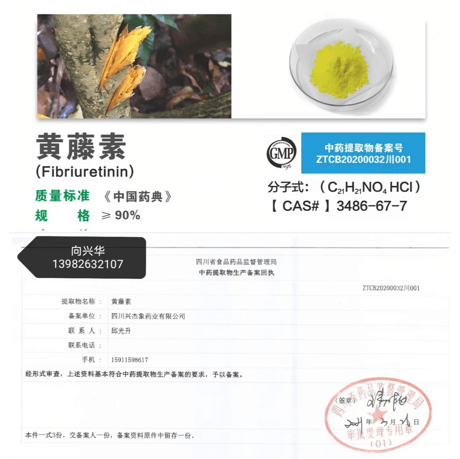 盐酸巴马汀