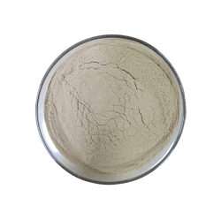 枯草芽孢桿菌 Bacillus subtilis