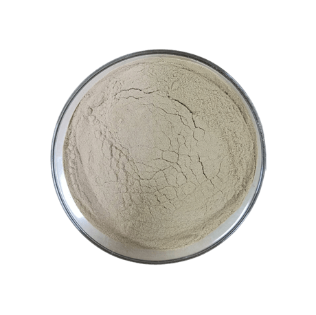 枯草芽孢杆菌 Bacillus subtilis