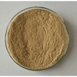 地衣芽孢桿菌 Bacillus licheniformis
