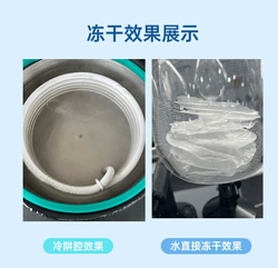 24T真空冷凍干燥機(jī)