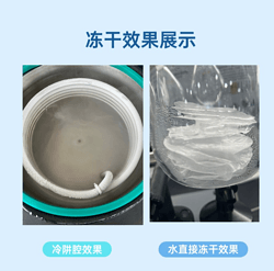28T真空冷凍干燥機(jī)