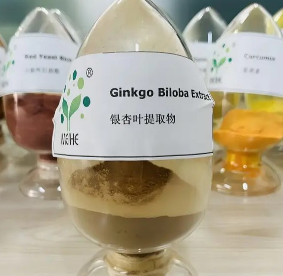 銀杏葉提取物