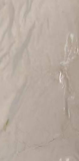 L-5-甲基四氫葉酸氨基葡萄糖鹽，CAS RN 1181972-37-1