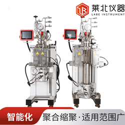 機(jī)械攪拌反應(yīng)釜