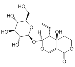 獐牙菜苦苷 Swertiamarin